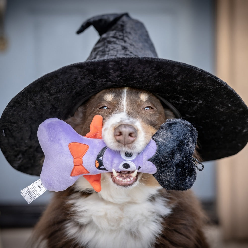 Huxley & Kent Halloween Dracula Bone Stuffed Toy with Squeaker for Dogs