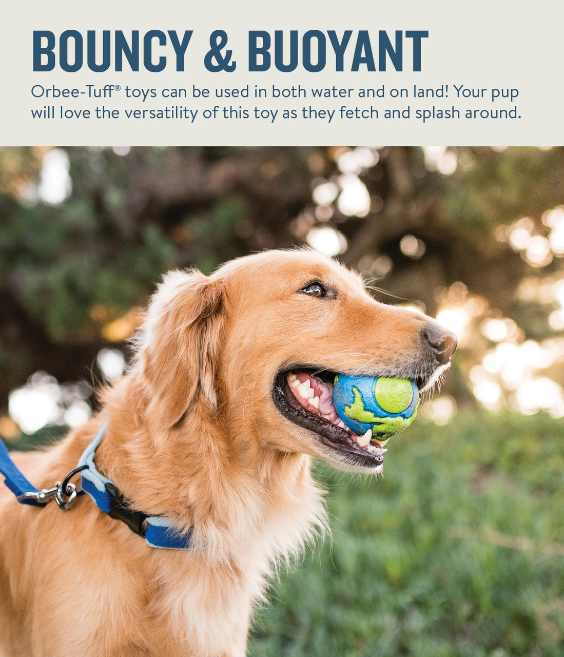 Orbee Tuff Planet Ball Treat Dispensing Dog Toy Medium 3" Diameter