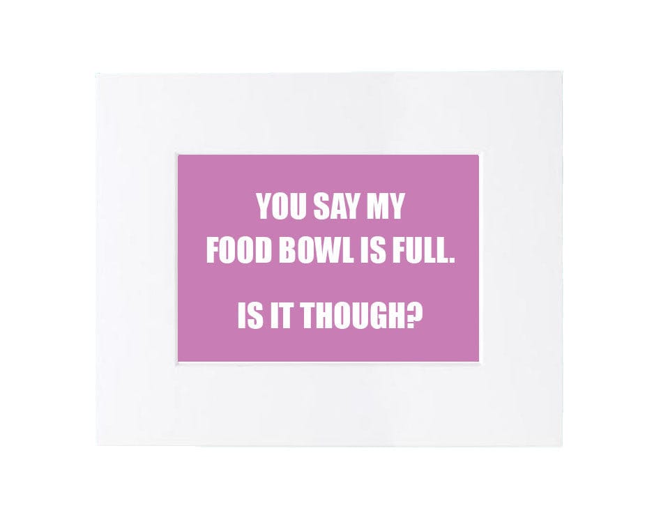 Over the Bowl Art- You Say My Food Bowl is Full. Is It Though?-Boats n Barks