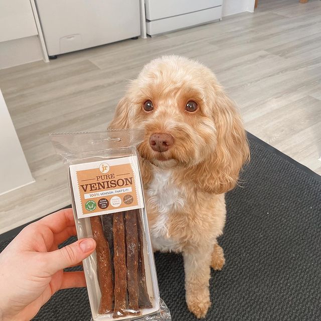 JR Pet Products UK 100% Pure Venison Sticks for Dogs