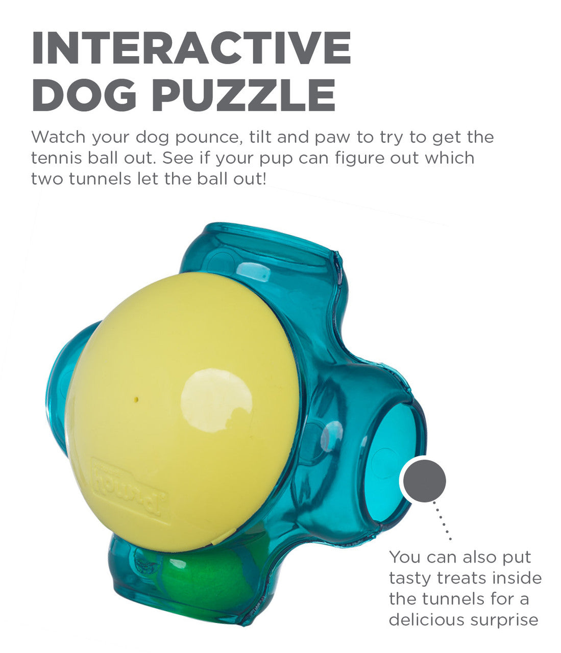 Tennis Maze Craze Dog Puzzle