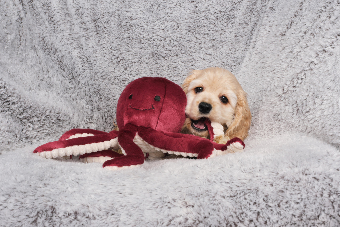 Fluff & Tuff Olympia Octopus - Medium Plush Dog Toy