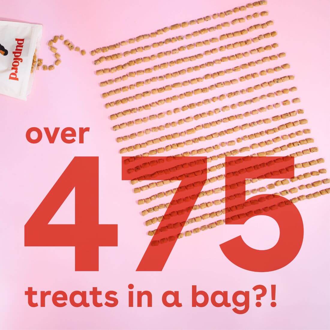 Freeze Dried  Chicken Training Treats for Dogs by Pupford