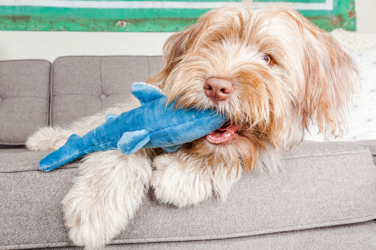 Fluff & Tuff Tank Shark - Small Plush Dog Toy