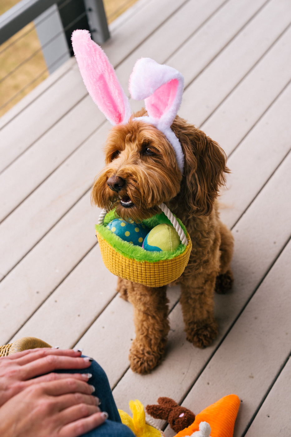 Easter Hippity Hoppity Basket Toy for Dogs