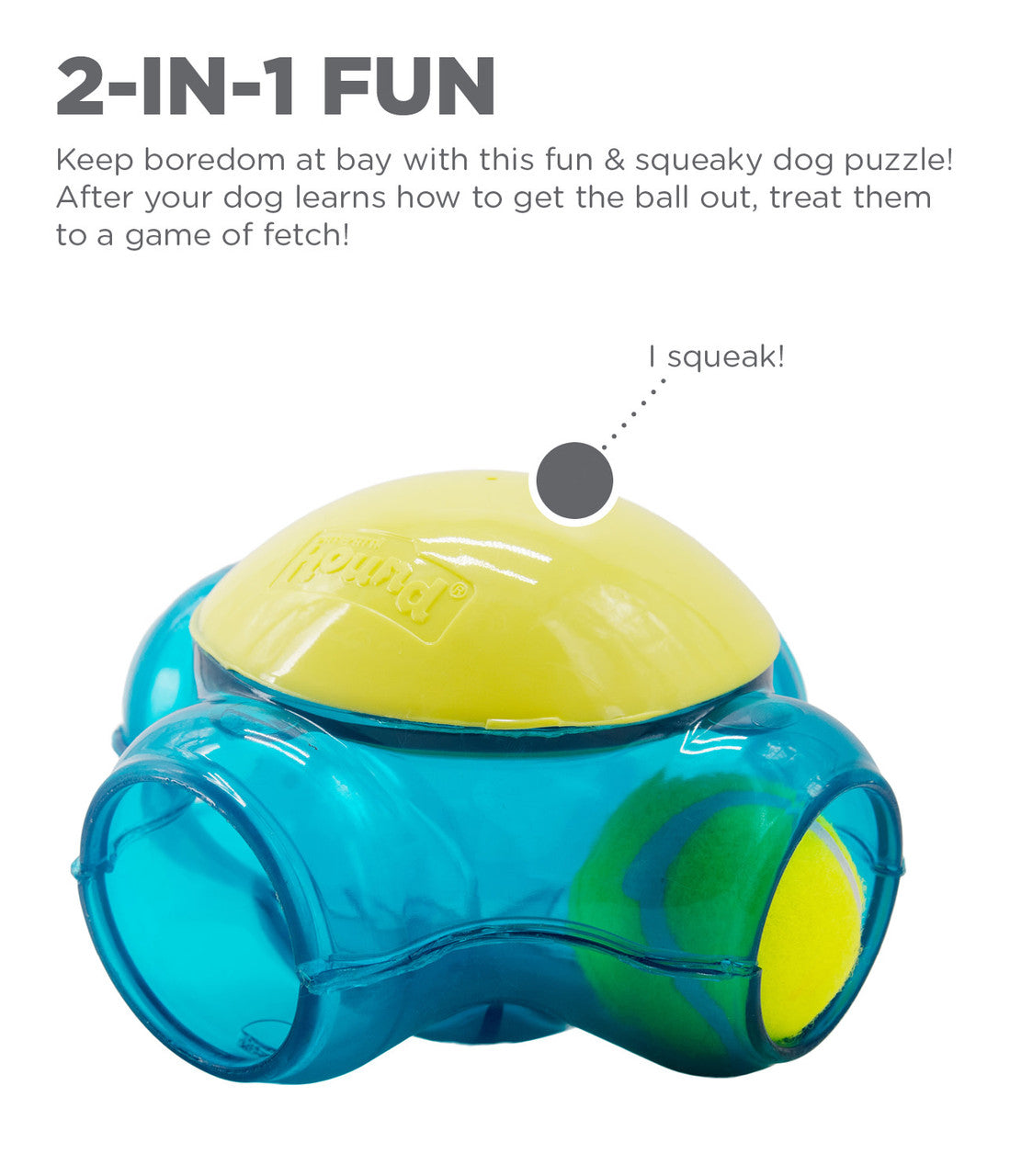 Tennis Maze Craze Dog Puzzle