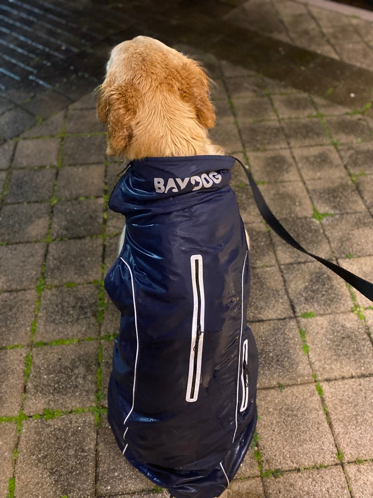 Baydog Narragansett Bay Sailing Jacket Raincoat for Dogs