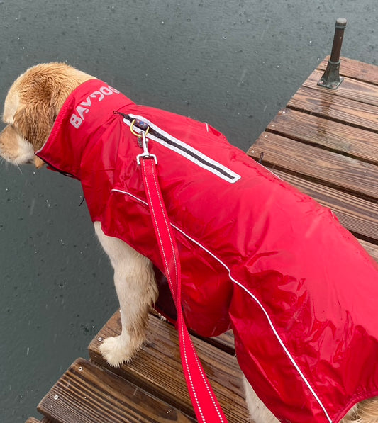 Baydog Narragansett Bay Sailing Jacket Raincoat for Dogs