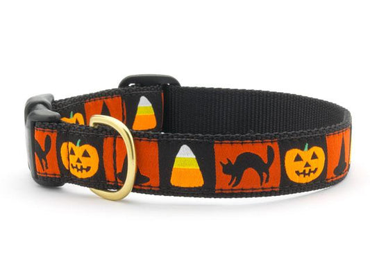 Halloween Pumpkin Dog Collar by Up Country