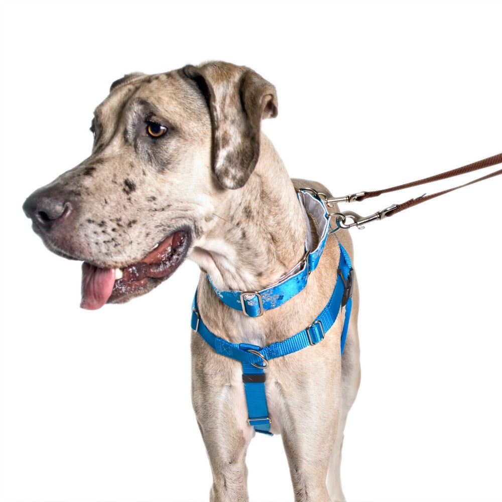 Freedom No Pull Dog Harness | Adjustable Gentle Comfortable Control for Easy Dog Walking | for Small Medium and Large Dogs | With dual clip leash | Made in USA