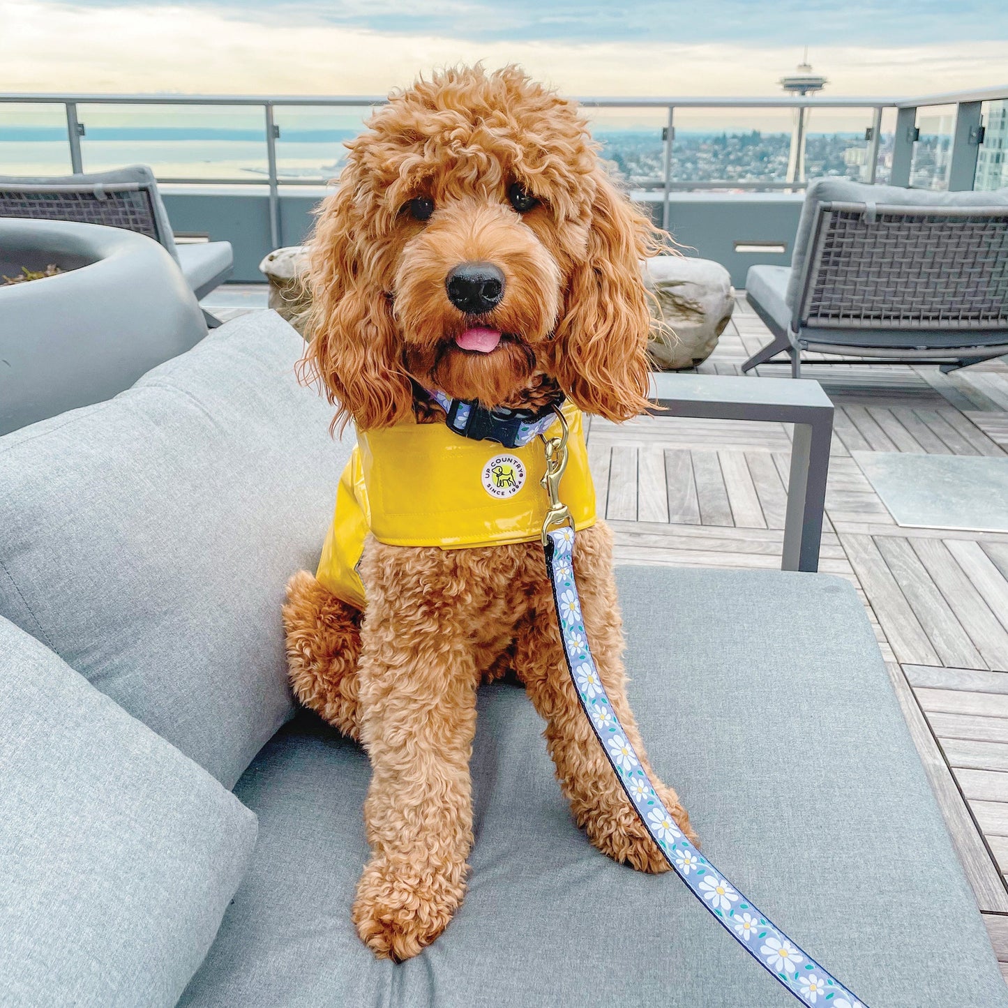 Daisy Dog Lead by Up Country