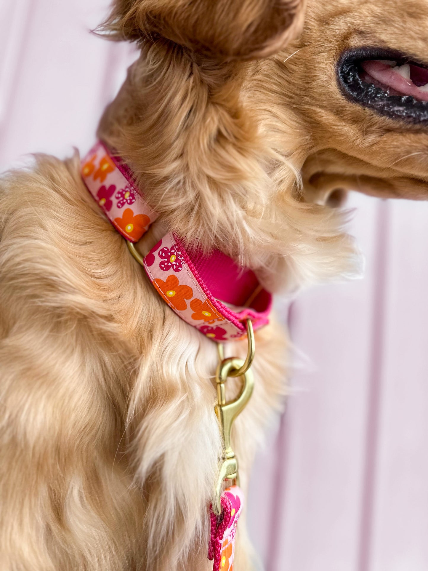 Flower Power Martingale by Up Country