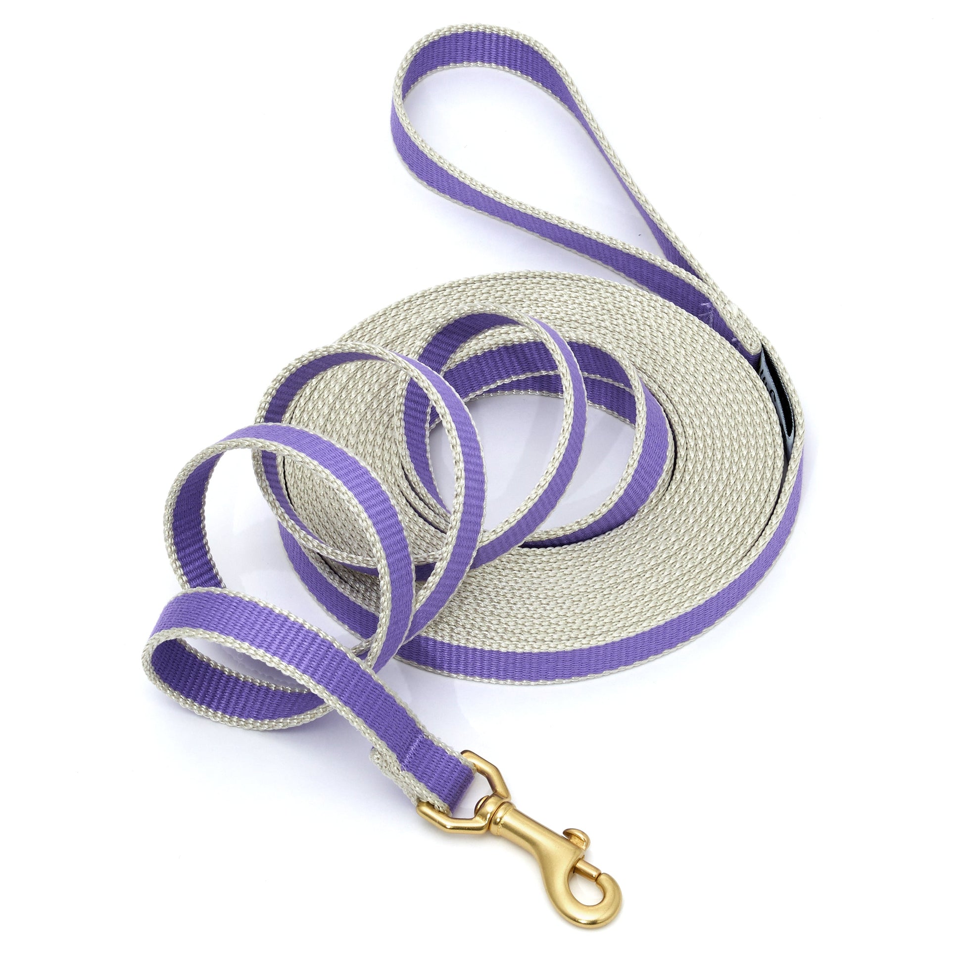 Green Market Dog and Puppy Training Lead