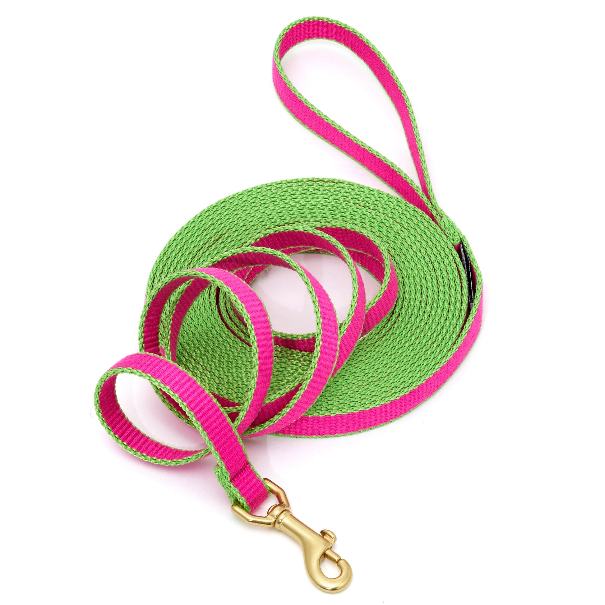 Green Market Dog and Puppy Training Lead