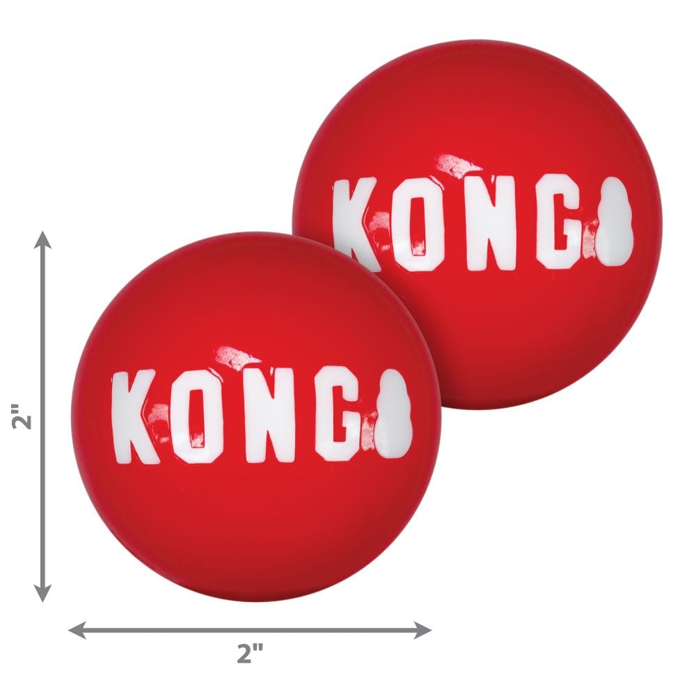 Kong Red Signature Ball for Dogs Floats and Squeaks-Boats n Barks