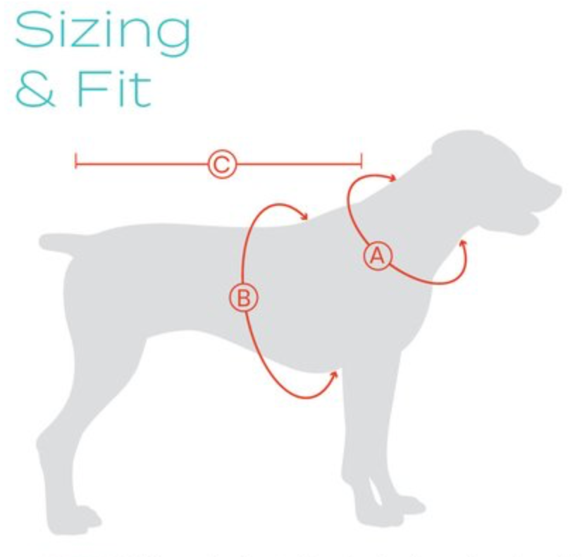 Baydog Galveston Bay Dog Harness with 3 Sets of Straps for Large Dogs