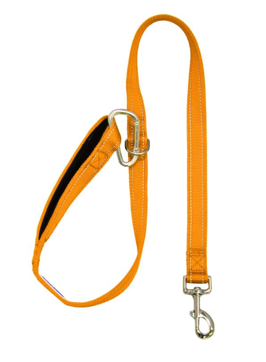 Baydog Hudson Bay Dog Lead  6' Long   1" Wide Padded Handle & Reflective Stitching