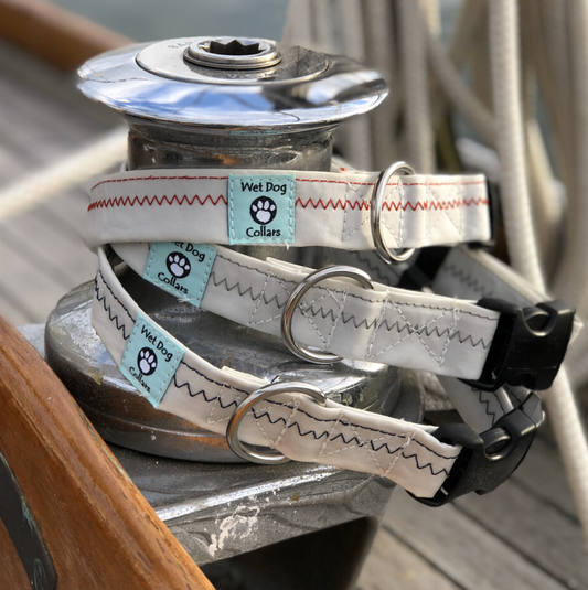 Wet Dog Sailcloth Dog Collar