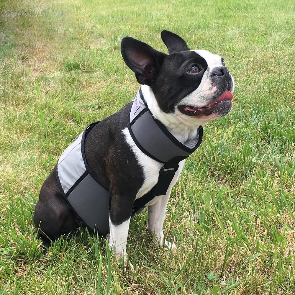 Ice Cooling Vest and Cooling Collar