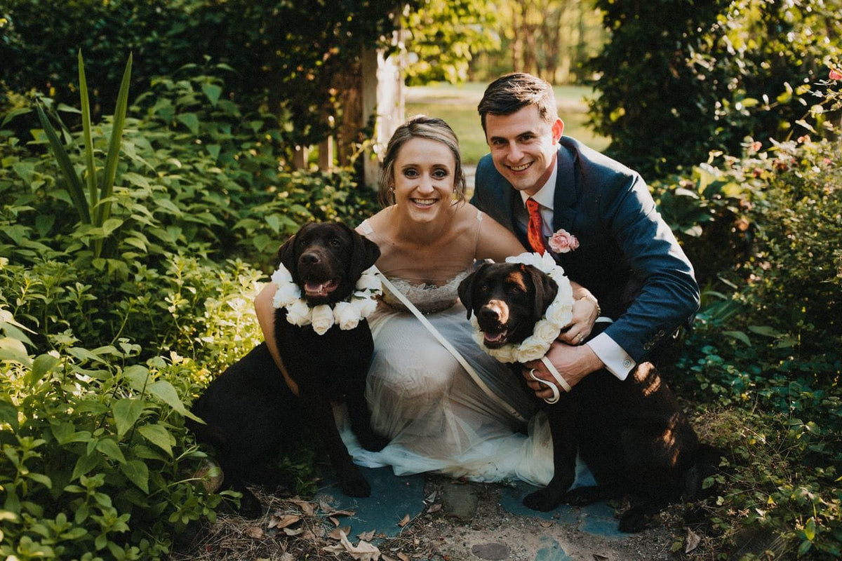 Up Country Wedding Rose Ring Dog Collars-Boats n Barks