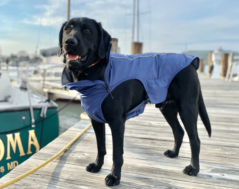 Baydog Narragansett Bay Sailing Jacket Raincoat for Dogs-Boats n Barks