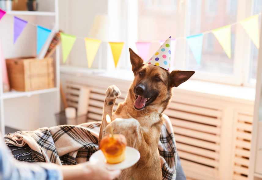 Celebrations