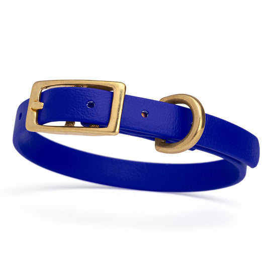 Waterproof Biothane Collar with Solid Brass Hardware - Assorted Colours