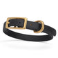Waterproof Biothane Collar with Solid Brass Hardware - Assorted Colours