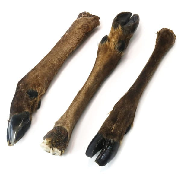 JR Pet Products Venison Leg with Hair Dog Chew from UK-Boats n Barks