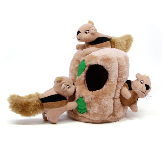 Squeaky Squirrels Hide a Toy Plush Dog Toy- Medium 6.5" x 6.5"