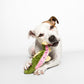 Fluff & Tuff Burt Lake Trout Soft Dog Toy with Squeaker Machine Washable 12"