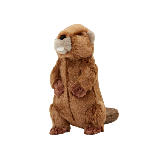 Fluff & Tuff Troy Beaver Soft Dog Toy with Squeaker Machine Washable