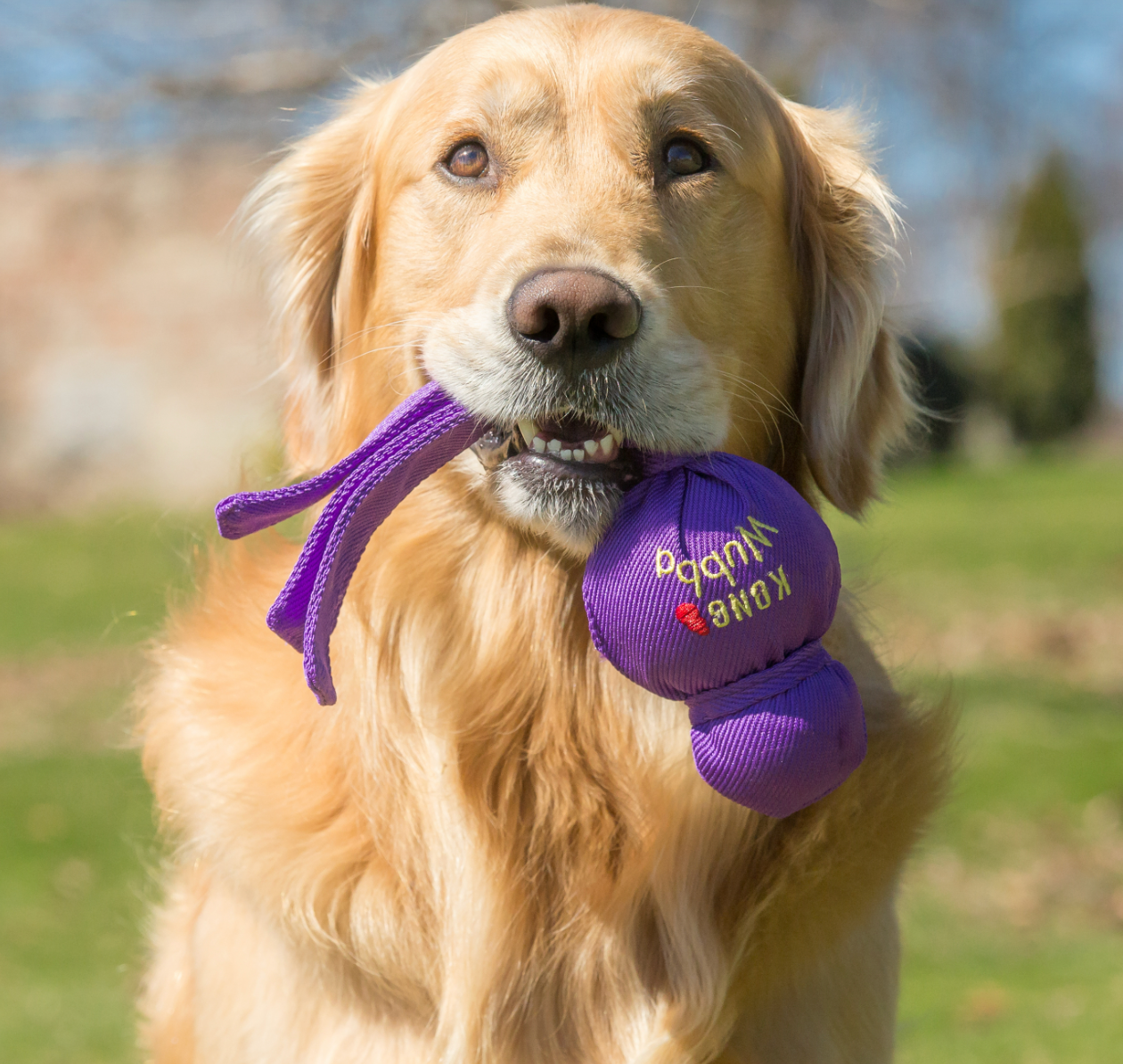 Kong Wubba Dog Toy  Large