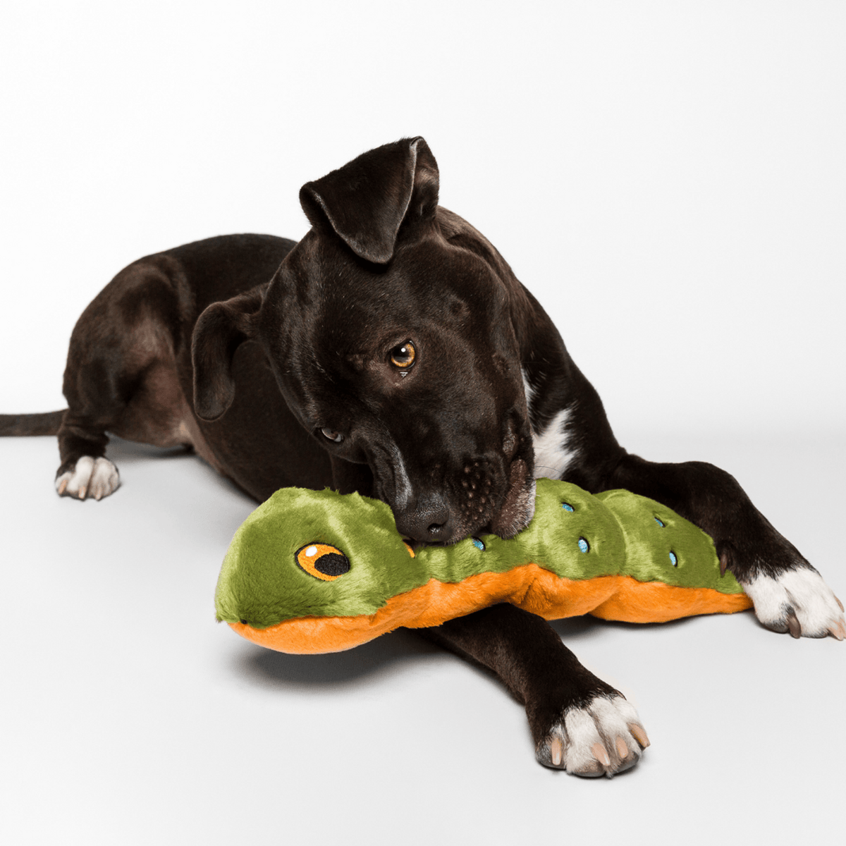 Fluff & Tuff Katie Caterpillar Soft Dog Toy with Squeaker Machine Washable 18"-Boats n Barks