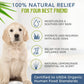 Organic Lemongrass, Aloe & Coconut Oil Hypoallergenic Dog Shampoo 100% Natural