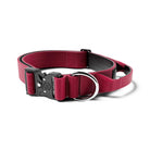 Bully BIllows 5cm Combat Collar without Handle-Boats n Barks