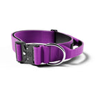 Bully BIllows 5cm Combat Collar with Handle-Boats n Barks