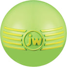 JW ISqueak Ball Medium-Boats n Barks
