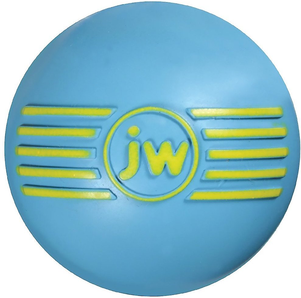 JW ISqueak Ball Medium