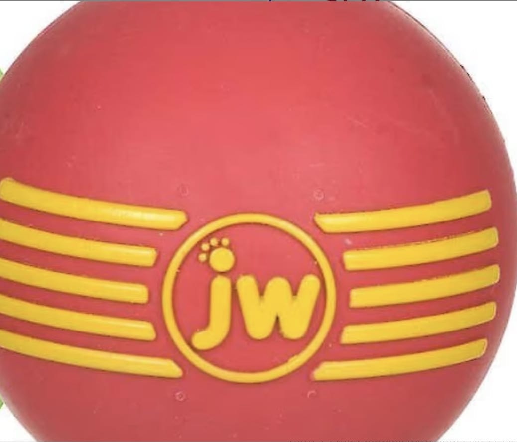 JW ISqueak Ball Medium-Boats n Barks