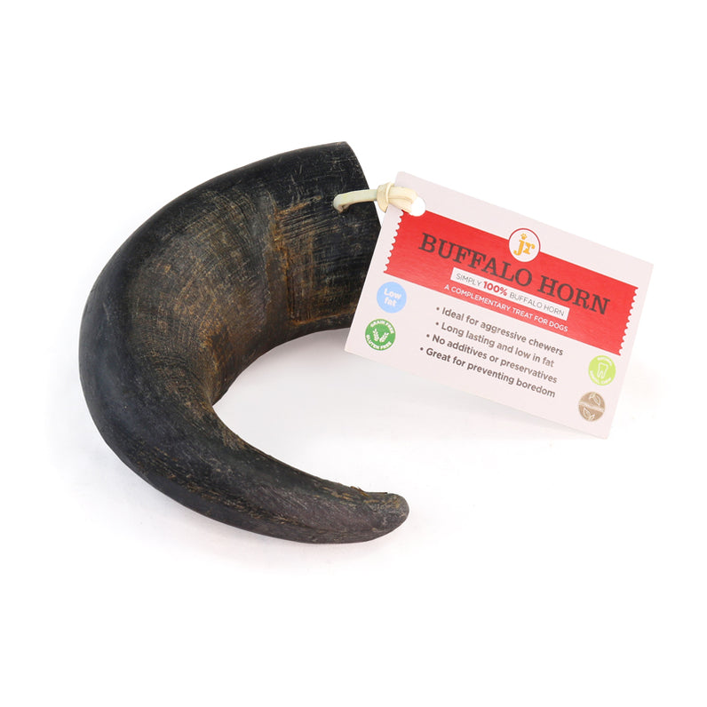 Whole Buffalo Horn - Small