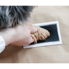 Pearhead Clean Touch Ink Pad and 2 Impression Cards for Dogs Pawprints-Boats n Barks