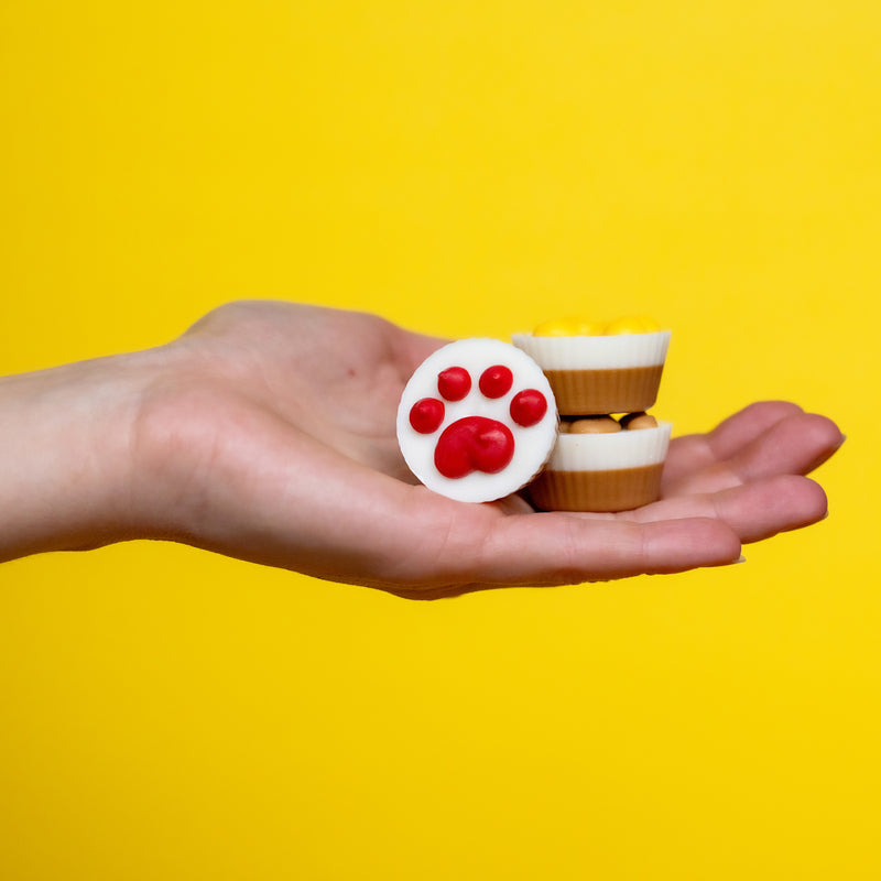 Peanut Butter Flavoured Birthday Treat Cup (set of 4) Dog Cookies made by Bosco & Roxy's of Canada