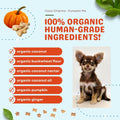 Cococharms Training  Treats for Dogs Coconut and Pumpkin Pie