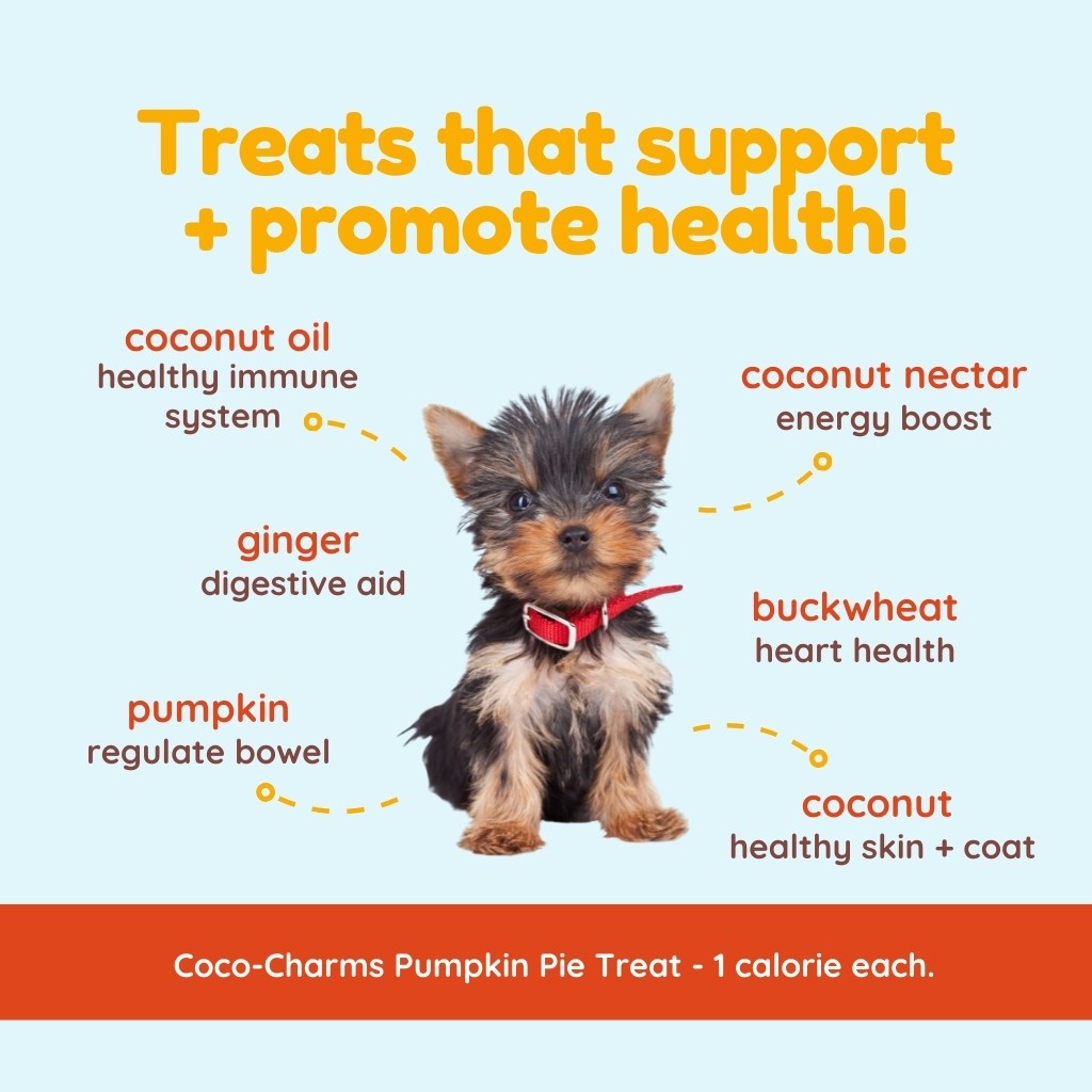 Cococharms Training  Treats for Dogs Coconut and Pumpkin Pie
