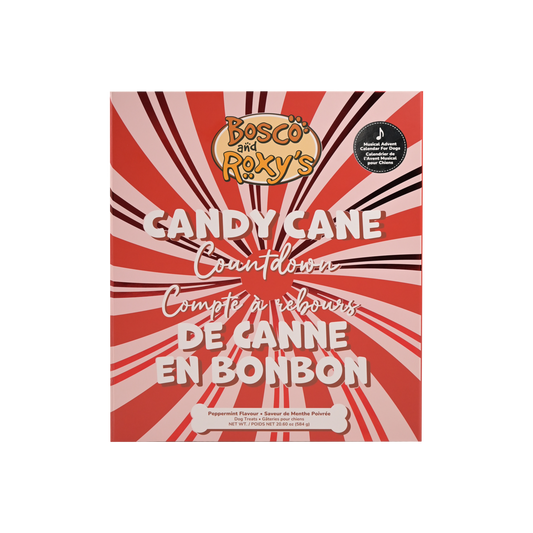 Bosco & Roxy's Deluxe Advent Calendar for Dogs plays Christmas Music when opened