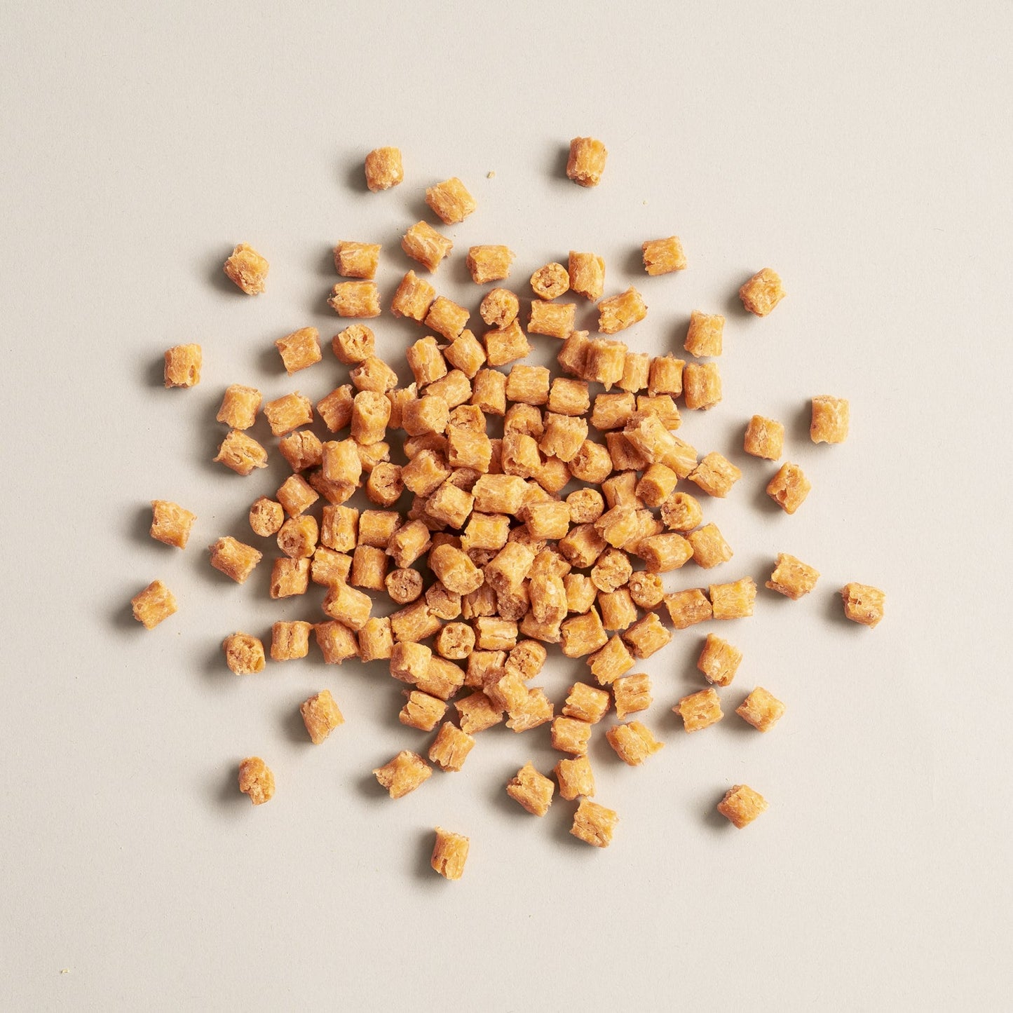 Salmon Says Training Bits Salmon Dog Treats