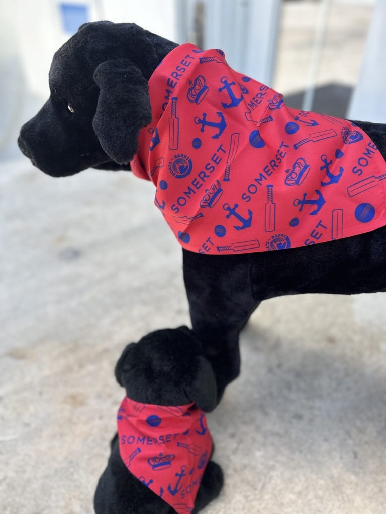 Somerset Cup Match Classic Cricket Game Dog Bandana Small 17"x17"x25"-Boats n Barks