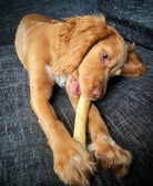 Beef Cow Tails for Dogs made in UK 250g-Boats n Barks