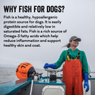 Salmon Says Bone Shaped Crunchy Salmon Dog Treats-Boats n Barks